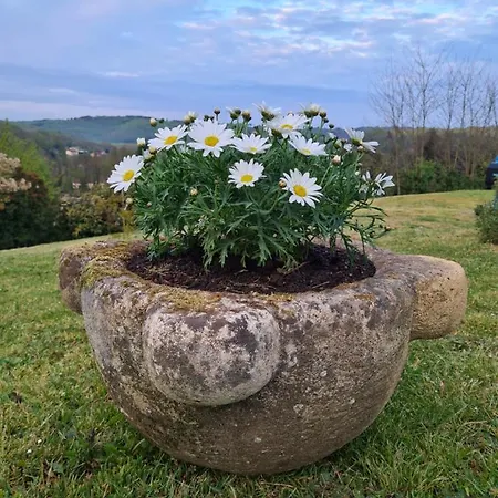 Domaine De La Queyrie Hébergement de vacances Sarlat