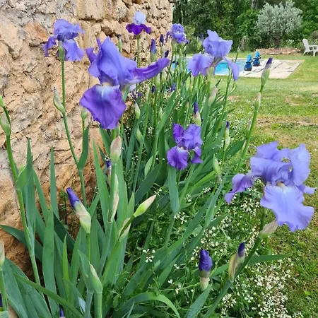 Domaine De La Queyrie Hébergement de vacances