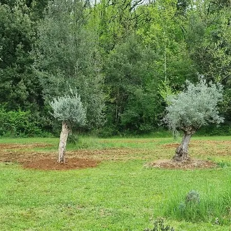 Domaine De La Queyrie 度假居