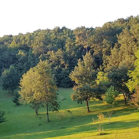 Domaine De La Queyrie Sarlat